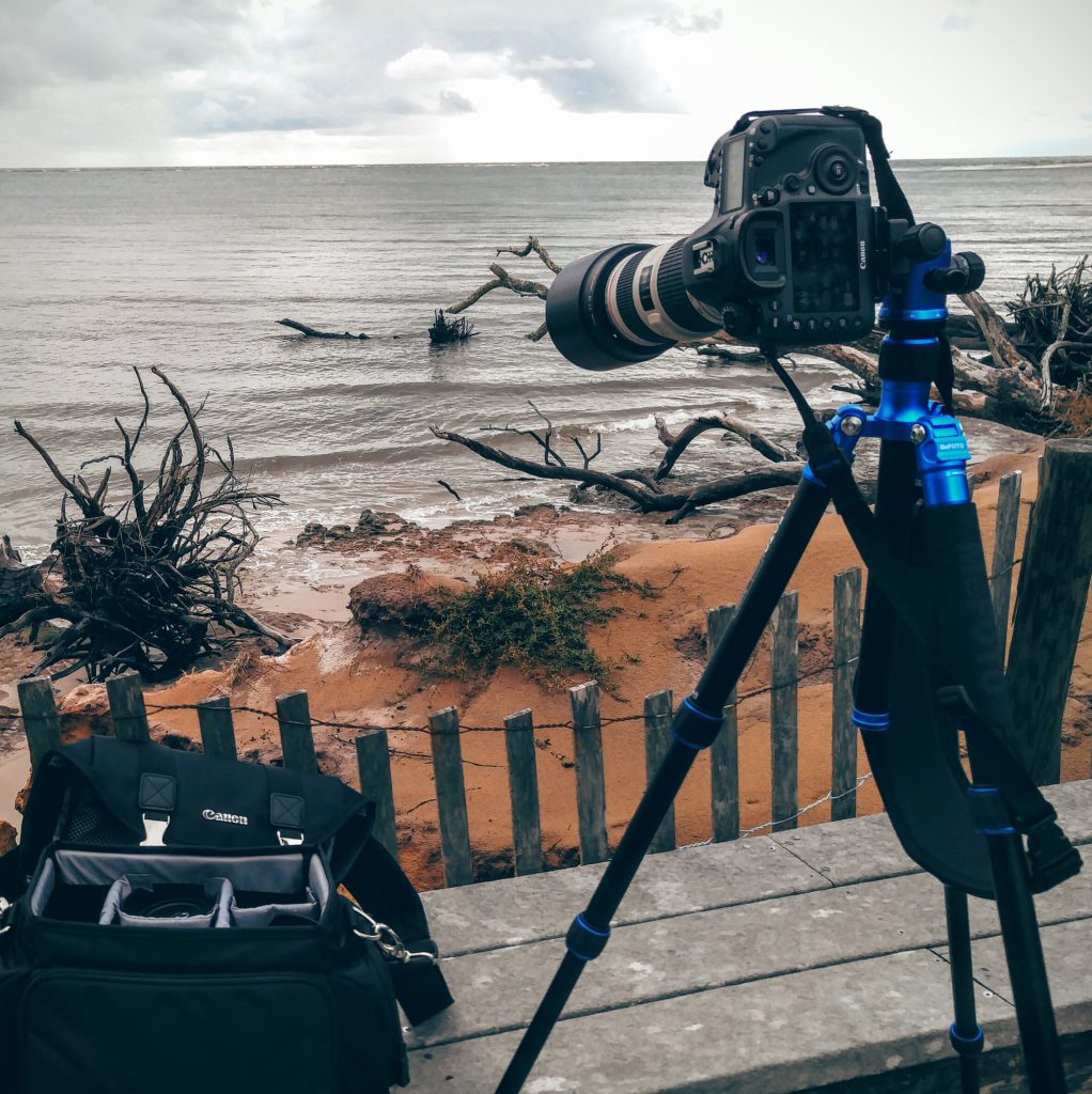 Behind the scenes photographing the tree stump