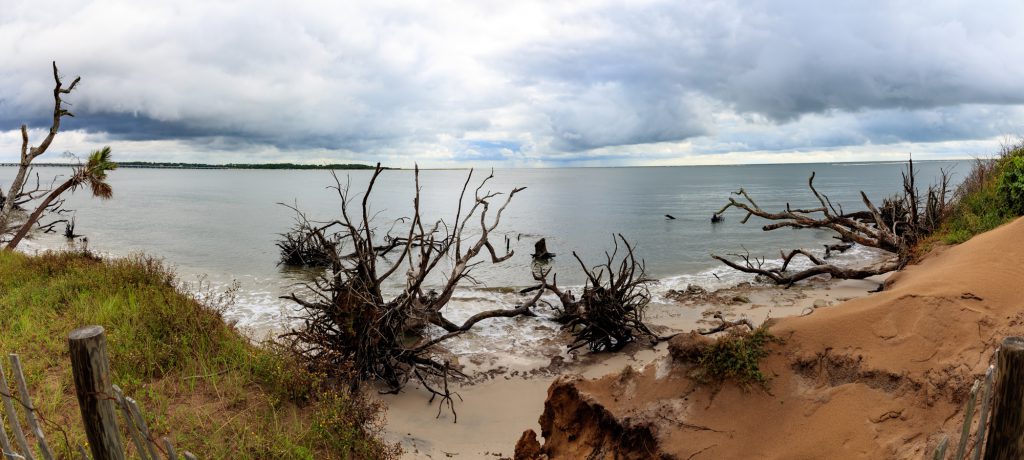 Boneyard Beach in Big Talbot Island State Park